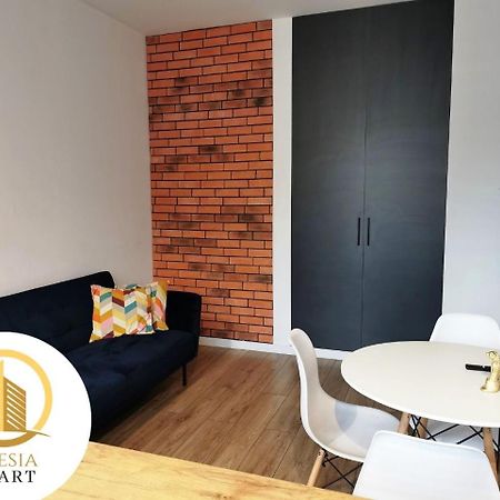Apartament Ceglany 蒂黑 外观 照片