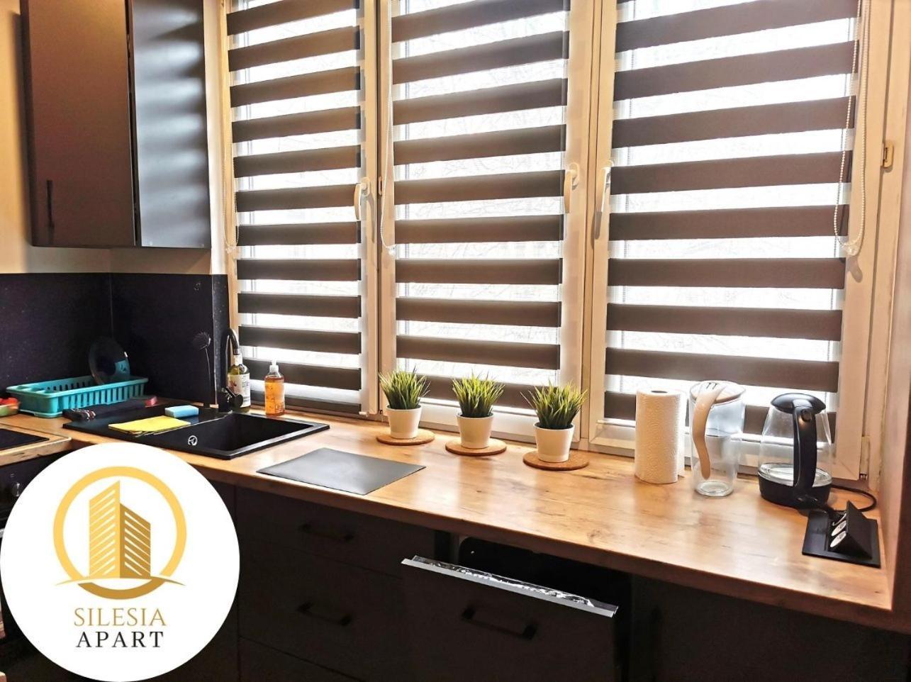 Apartament Ceglany 蒂黑 外观 照片