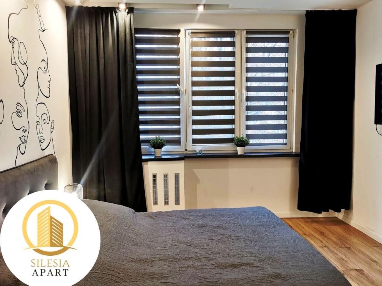 Apartament Ceglany 蒂黑 外观 照片