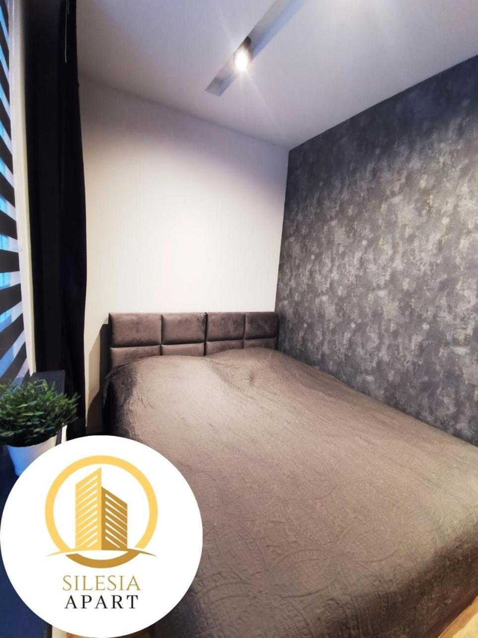 Apartament Ceglany 蒂黑 外观 照片