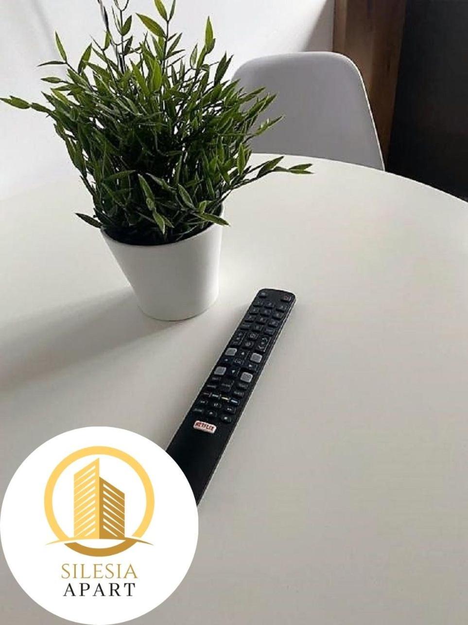 Apartament Ceglany 蒂黑 外观 照片