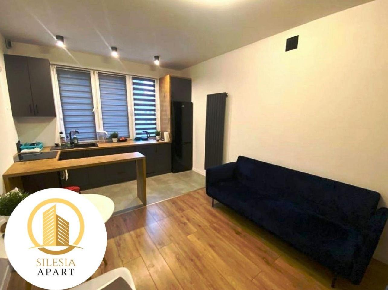 Apartament Ceglany 蒂黑 外观 照片