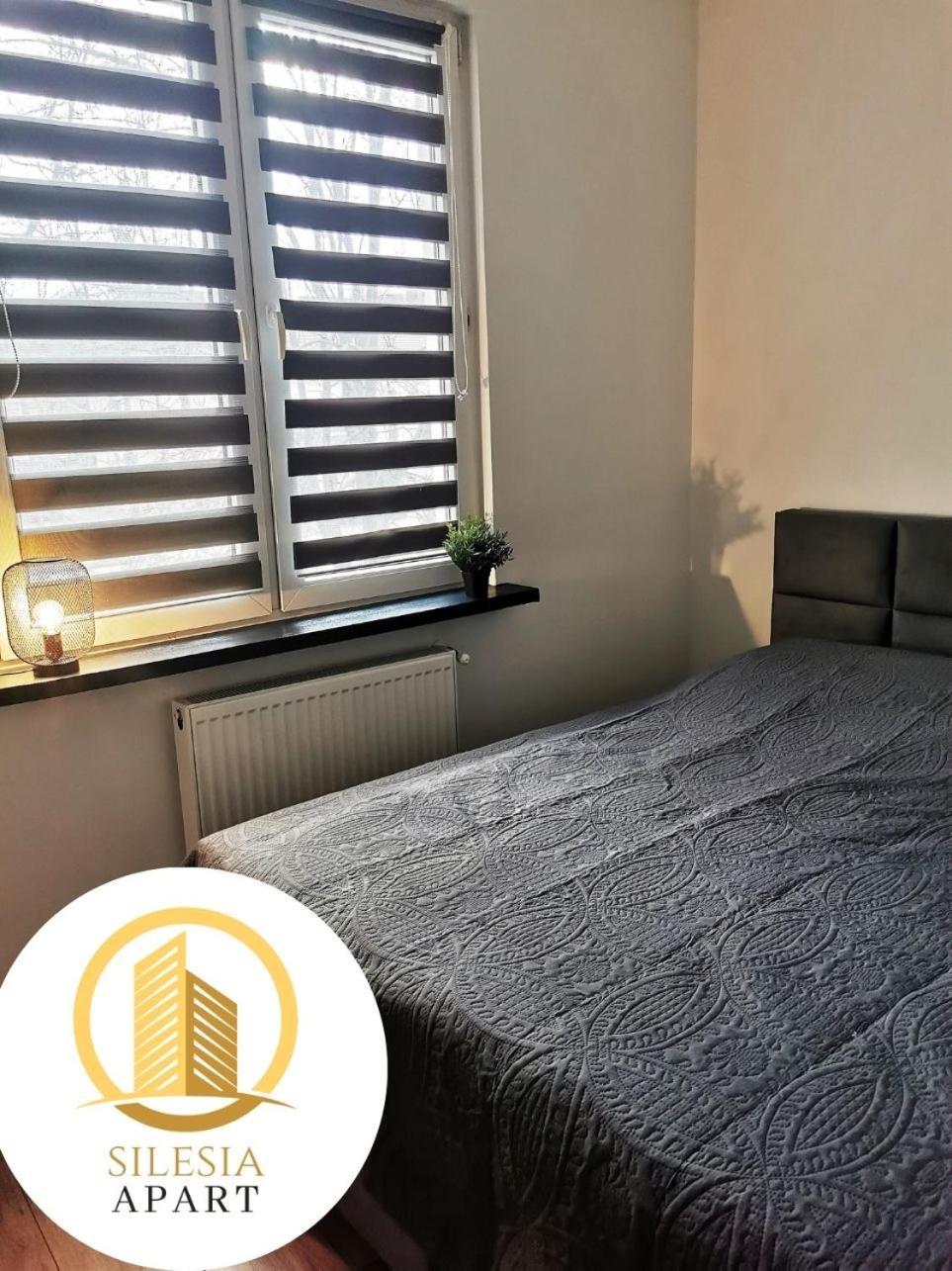 Apartament Ceglany 蒂黑 外观 照片